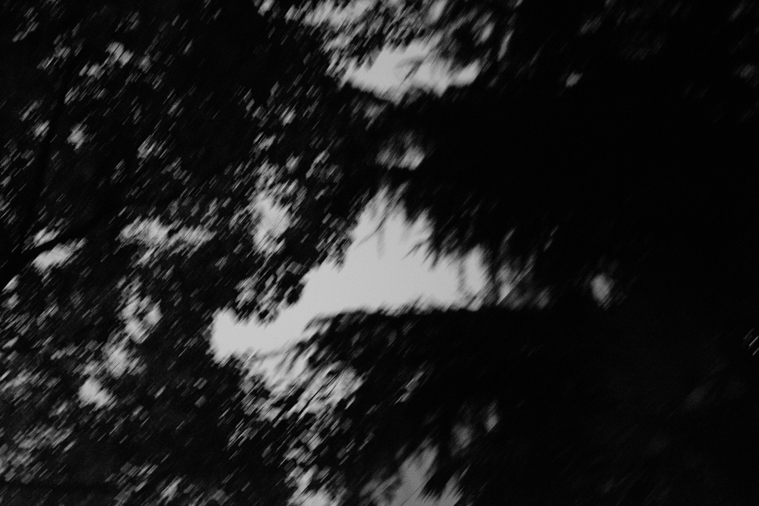 上海 2020 image 103